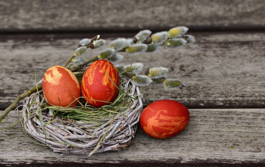 Osternest mit Eiern - Pixabay.de