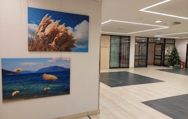 Ausstellung „Farbige Inspirationen aus Deutschland und Griechenland“ im  St. Josefs Krankenhaus Balserische Stiftung
