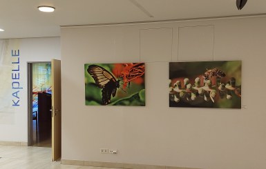 2023 -Ausstellung Inspirationen aus Griechenland